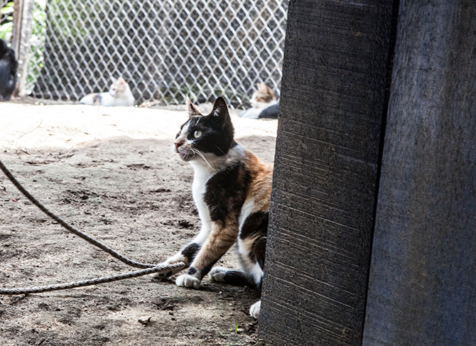 Portfolio slider image